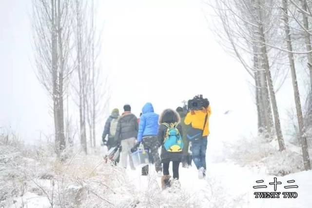 伟大的安巴逊 产品图片