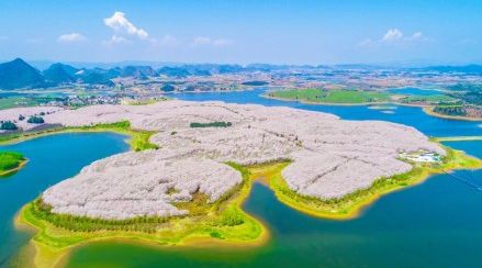 厄夜邂逅 产品图片
