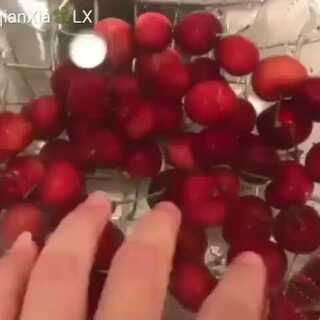 冰临险境 推荐视频