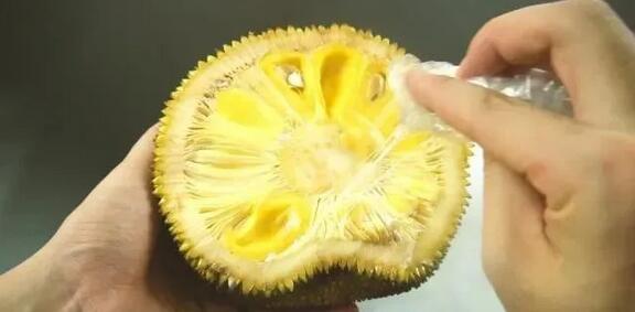 停不了的爱 视频主图