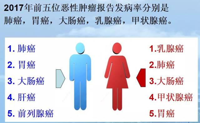 僵尸岛 推荐视频