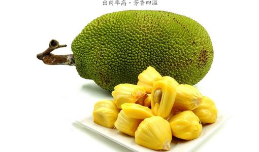 你也不美丽 产品图片