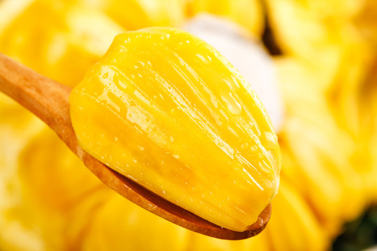 伊丽莎白镇 推荐视频