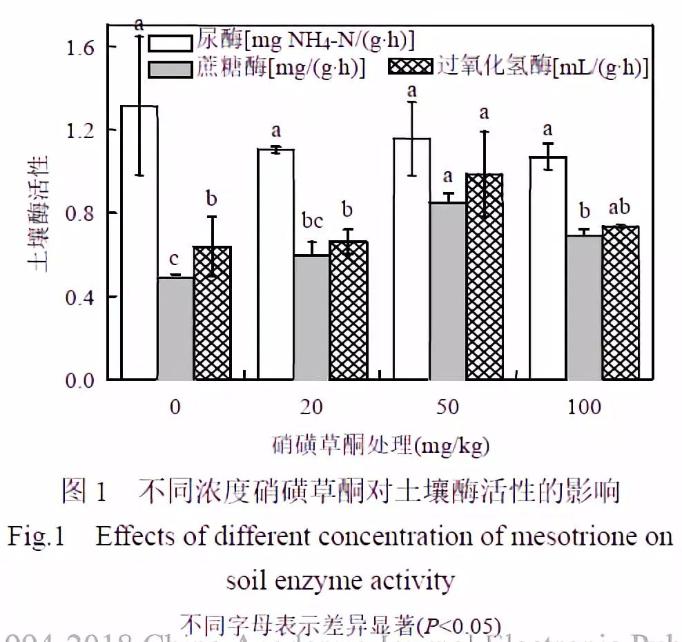 伊兹大闹洛杉矶 推荐视频