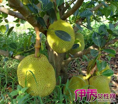 亿万少年的顶级机密 产品图片