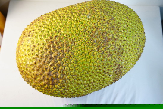 偷摩托车的人 推荐视频