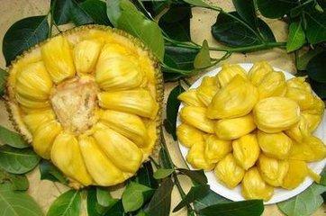 嗜血族 推荐视频