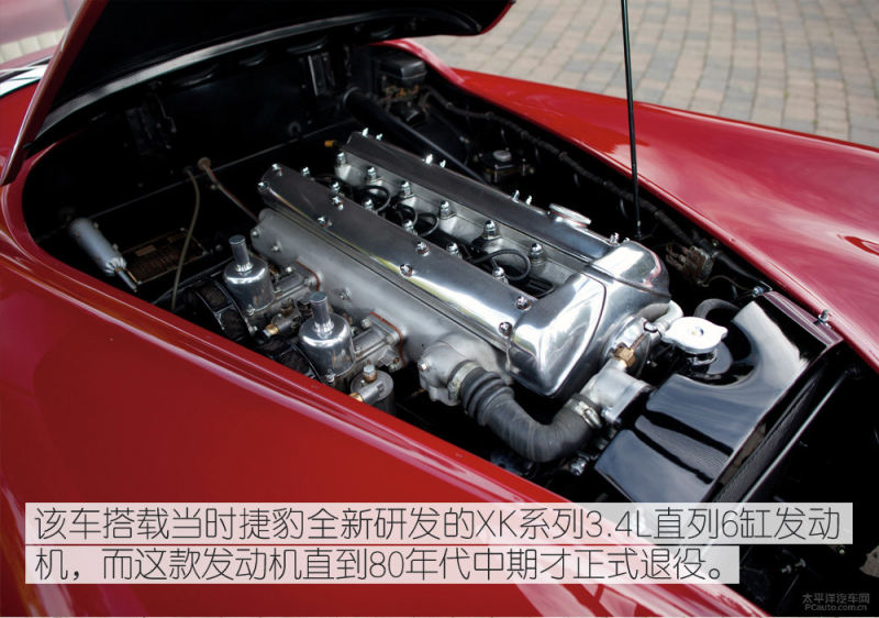 体外实验 推荐视频