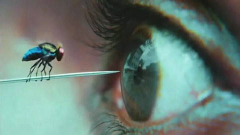 保镖 完结篇2010 推荐视频