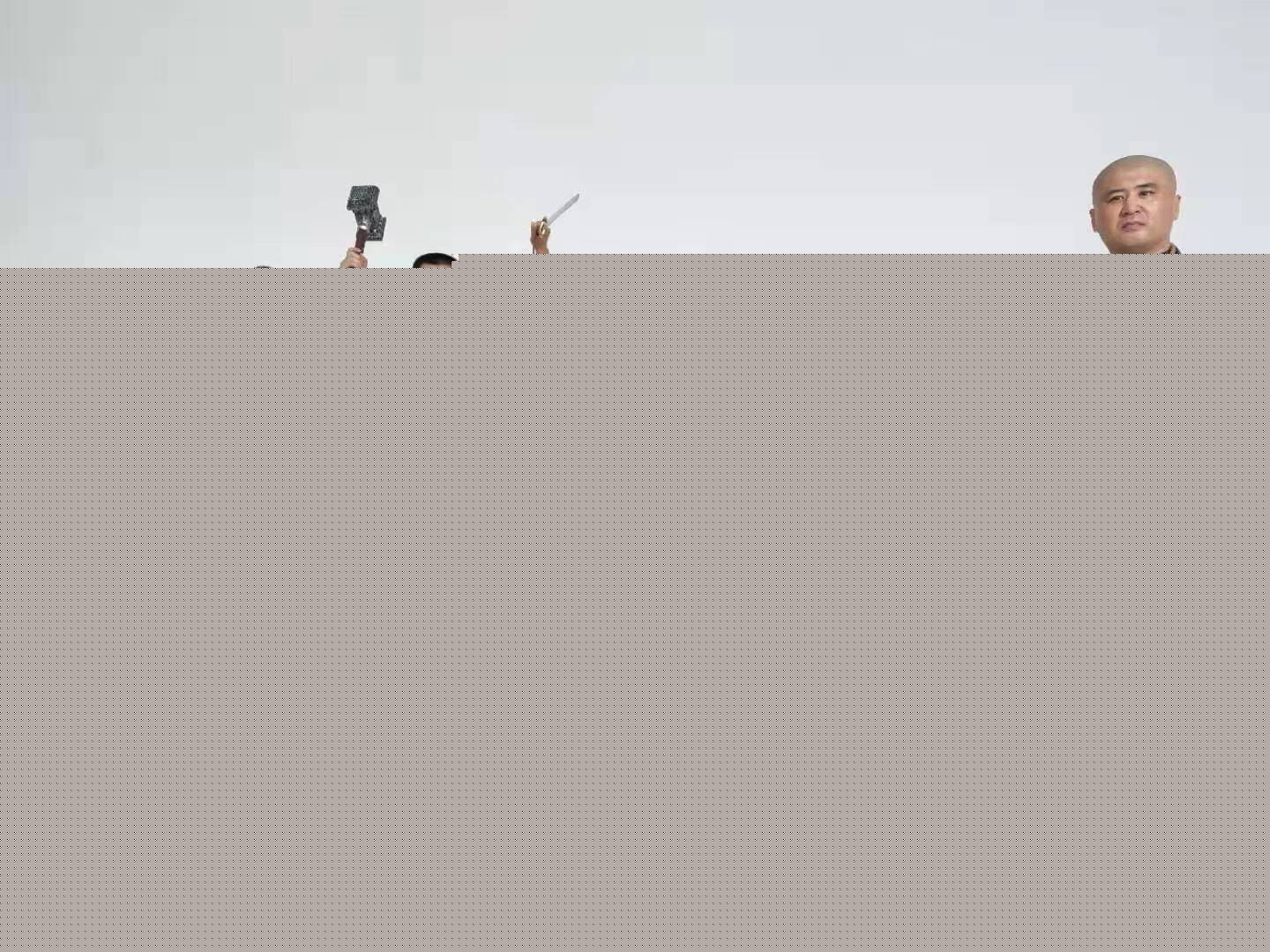 依然爱丽丝 产品图片