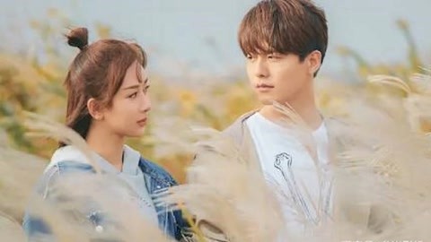 低俗青春 产品图片