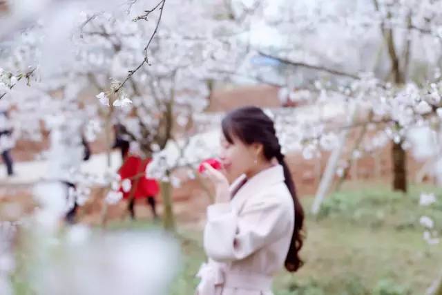 仕掛人・藤枝梅安 视频主图