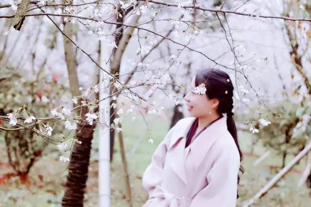 僵尸小屁孩 视频主图