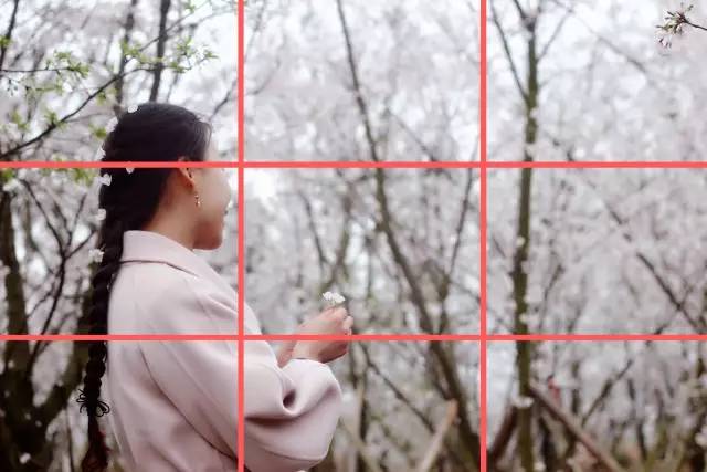 东北奇缘 视频主图