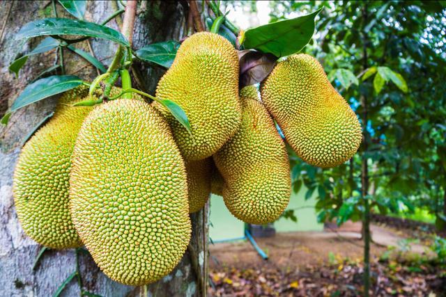 他人之痛 推荐视频