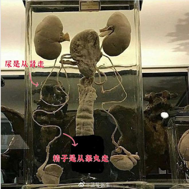 侦探韩森 推荐视频