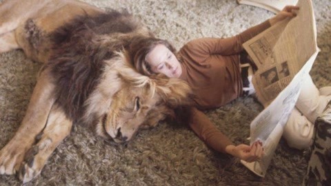 偷窥狂 产品图片