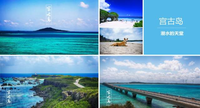 佐佐木与宫野 剧场版 推荐视频