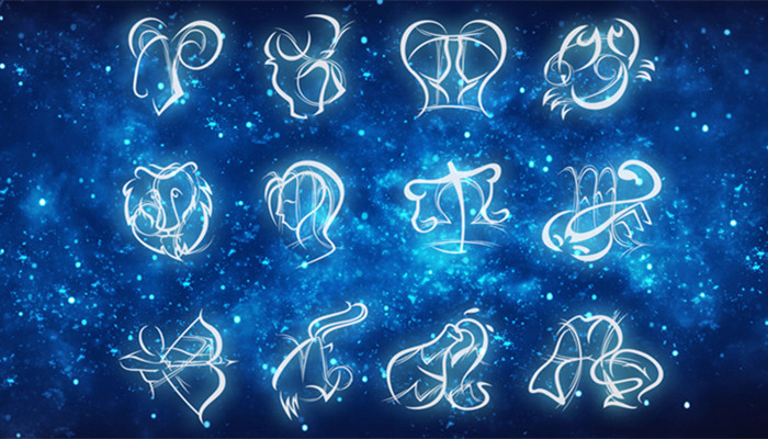 借口公司 产品图片