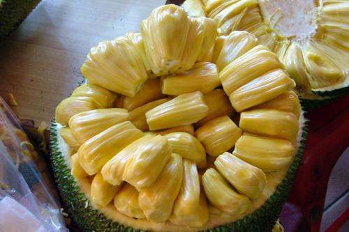 名侦探柯南：沉默的十五分钟 推荐视频