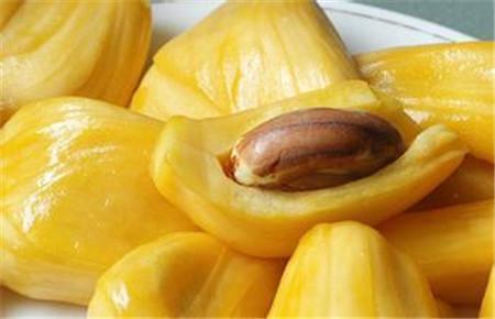 从此以后 推荐视频