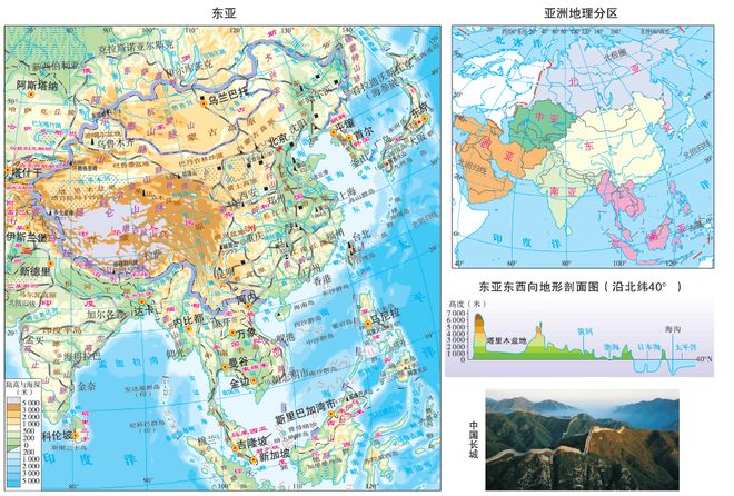 佩姬苏要出嫁 推荐视频