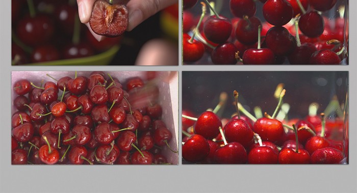 今天开始世界属于你 推荐视频