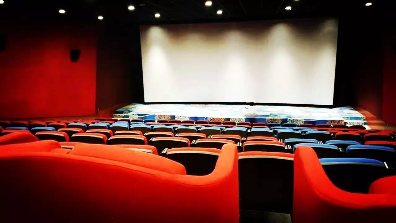 儿子、孙子和种子 视频封面