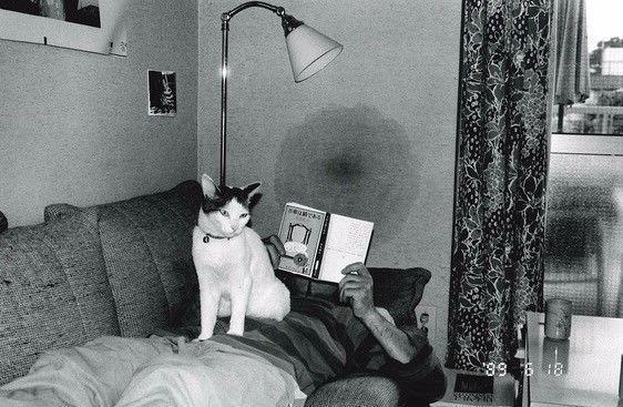 侏罗纪公园2：失落的世界 推荐视频