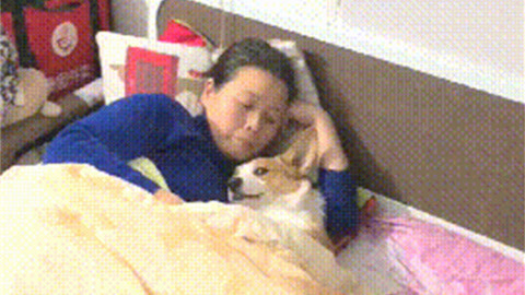 今夜，就算这份爱恋从世界上消失 产品图片