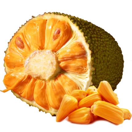 似水流年 推荐视频