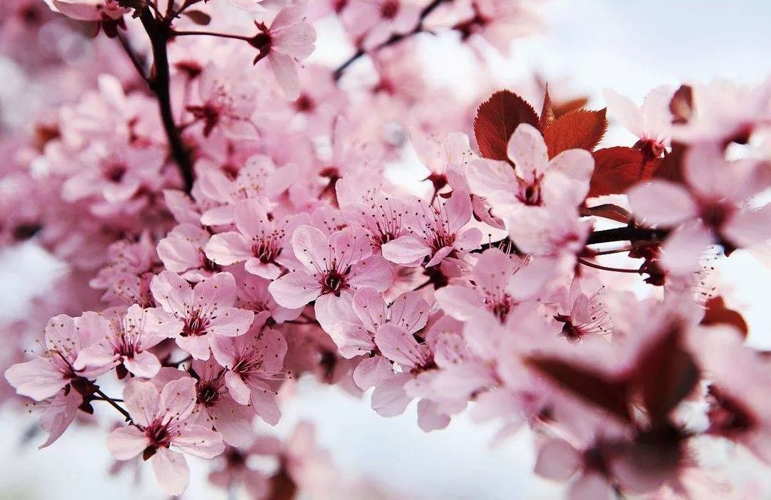 他们的边境梦 推荐视频