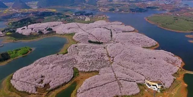 危险吸引 推荐视频