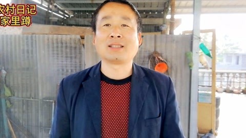 危机22分钟 推荐视频