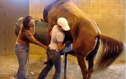 偷摩托车的人 推荐视频