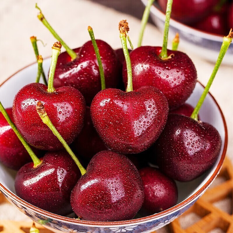 侠僧探案传奇之将军府 推荐视频