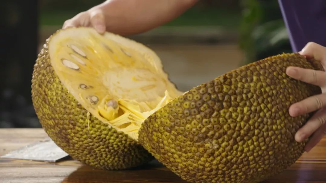 侠胆医心之危机重重 推荐视频