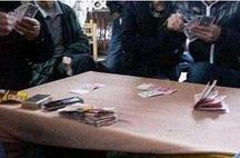 企鹅小守护 产品图片