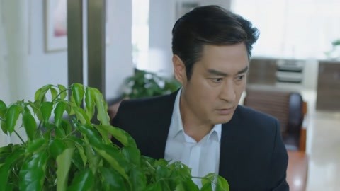 倩女幽魂 张国荣版 推荐视频