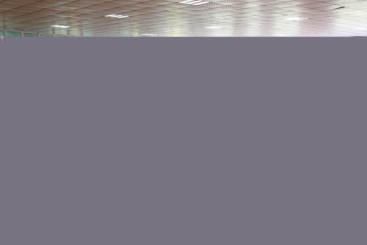 僵尸训练营 推荐视频