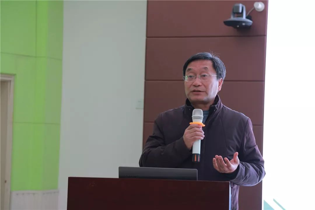 僵尸岛 产品图片