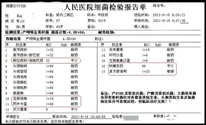 你的样子 推荐视频
