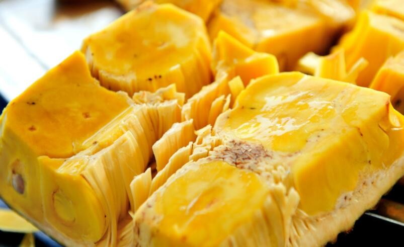 何以飞翔 推荐视频