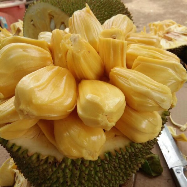 你会在那里吗？ 产品图片