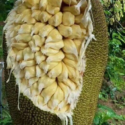 坏蛋联盟2 推荐视频