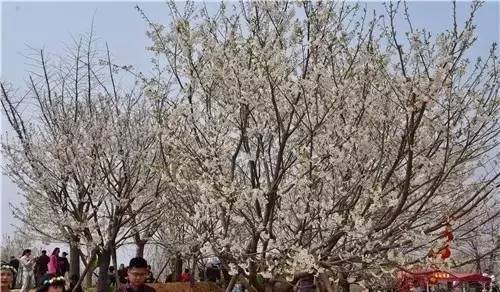 俄国新娘 推荐视频