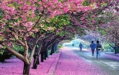 今天开始世界属于你 推荐视频