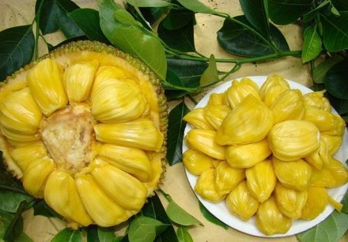 双面女友 推荐视频