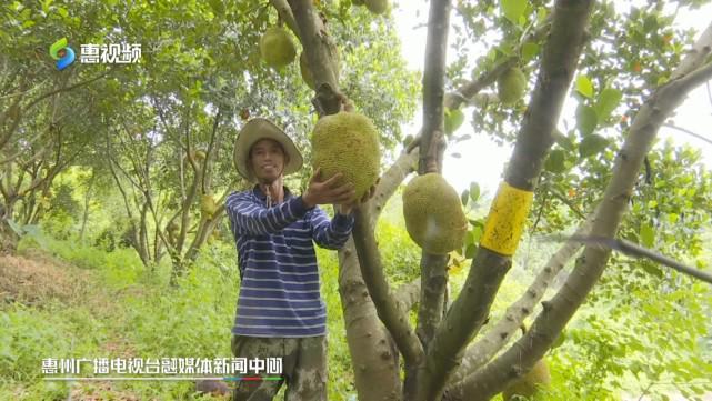 哆啦A梦：大雄的新恐龙 推荐视频