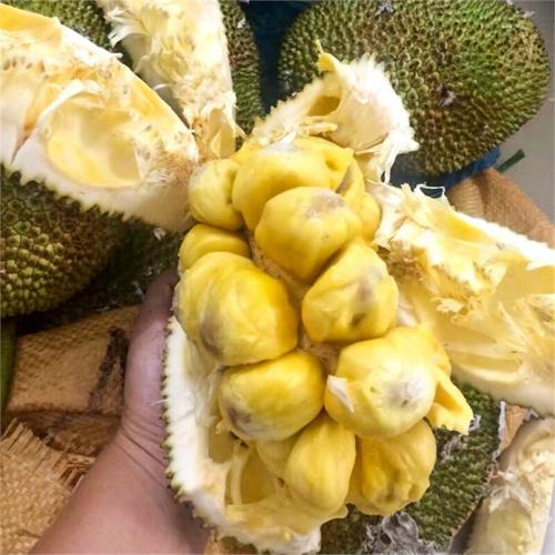 似水流年 推荐视频